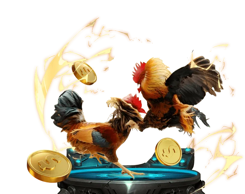 Hoàn trả hàng ngày không giới hạn p88